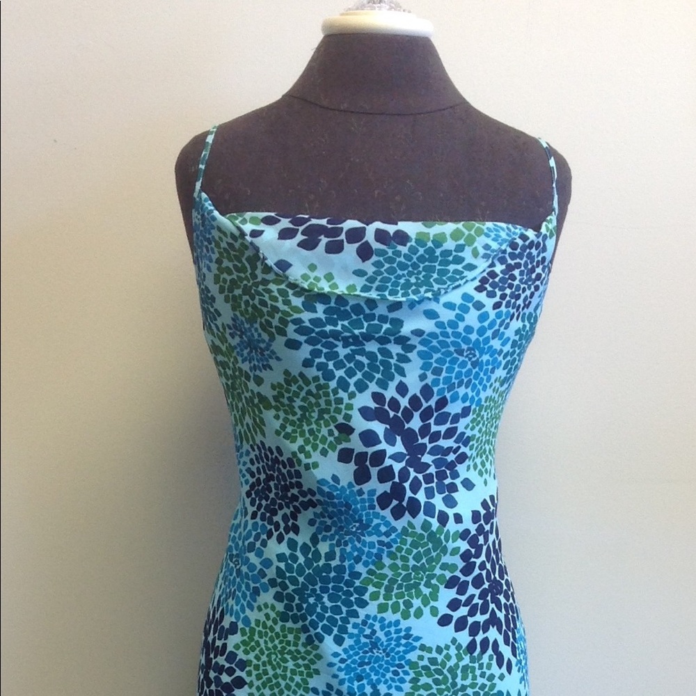 Express Sleeveless Print Dress